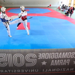 Taekwondo - CNU